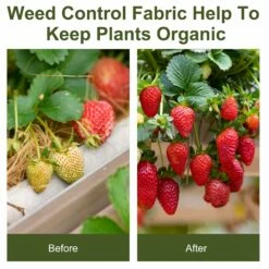 Outsunny 2 X 50 M Fabric Landscape Weed Barrier -OUTSUNNY Shop 1624271851 33238600 0197bfd0 7ca2 4353 8b8d e749ed785bfd