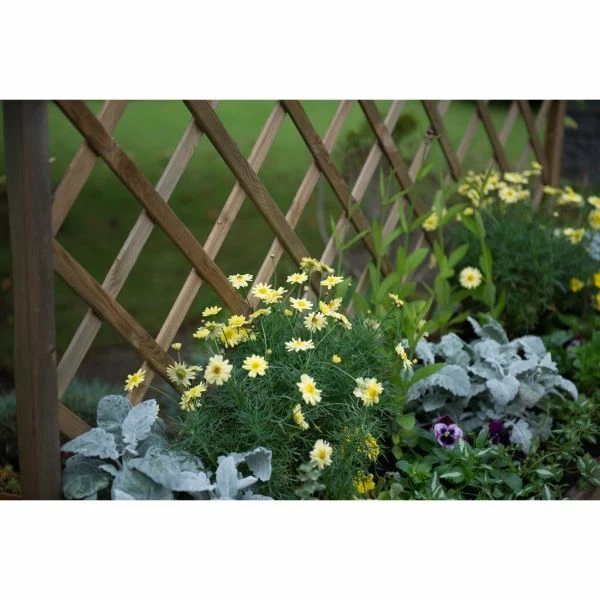 Forest Garden Venice Planter 153cm(h) X 180cm(w) X 50cm(d) 8 Forest Garden Venice Planter 153cm(h) X 180cm(w) X 50cm(d) - Image 6