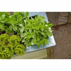 Forest Garden Cambridge Planter - 100x50cm -OUTSUNNY Shop 4938026 3