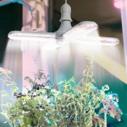 Outsunny Plant Grow Light 13 Outsunny Plant Grow Light -OUTSUNNY Shop Daq90f17e7a56495c b9a17bae 5e41 4fea be5e b5437fbf2b49