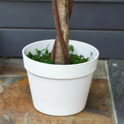 Outsunny Artificial Rose Tree And Planter For Indoor & Outdoor Use - Pink And Green -OUTSUNNY Shop ohV9b417dc39d3ea4 jpg